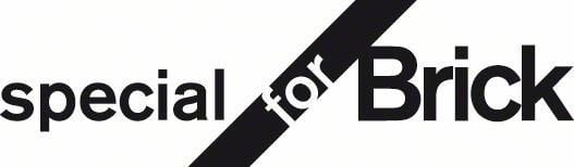 BOSCH S 2243 HM ENDURANCE FOR BRİCK 1'Lİ