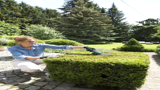 BOSCH ISIO3 ÇİM VE TOPİARİ MAKASI