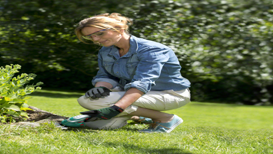 BOSCH ISIO3 ÇİM VE TOPİARİ MAKASI