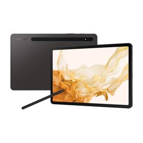 Samsung Galaxy Tab S8 Wi-Fi SM-X700 128 GB